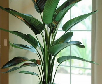 Modern Ground Green Plant Potted Plants-ID:551631931