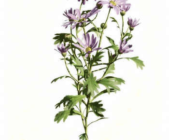 Modern Flowers And Grass-ID:467263942