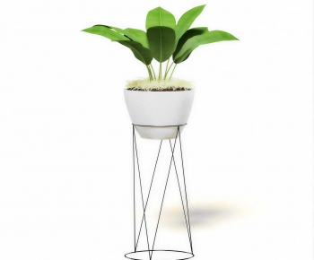Modern Ground Green Plant Potted Plants-ID:791317949