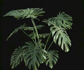 Modern The Grass-ID:431509079