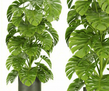 Modern Ground Green Plant Potted Plants-ID:348289086