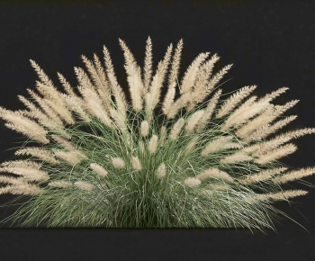 Modern The Grass-ID:451478007