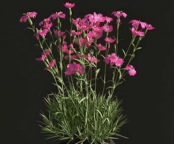 Modern Flowers And Grass-ID:405853035