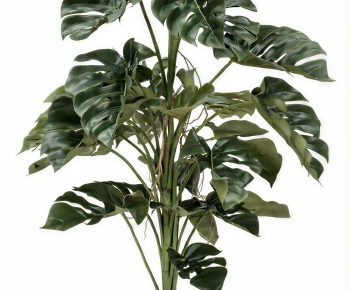 Modern Ground Green Plant Potted Plants-ID:822324042