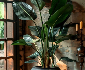 Modern Ground Green Plant Potted Plants-ID:868597981