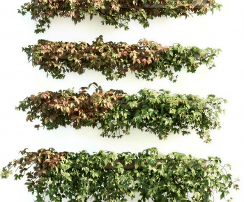 Modern Plant Wall-ID:206254012