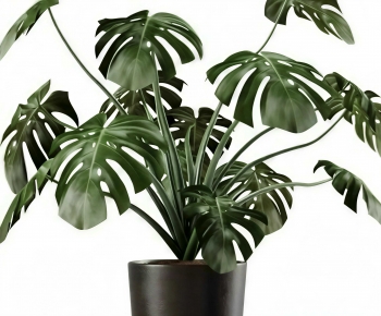 Modern Ground Green Plant Potted Plants-ID:357562078