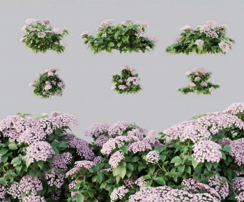 Modern Flowers And Grass-ID:506598952