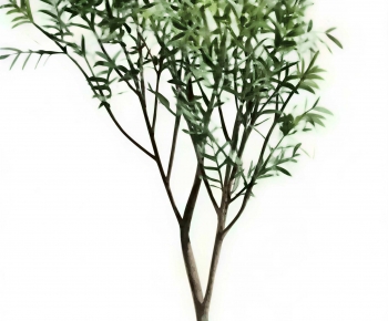 Modern Tree-ID:641083008