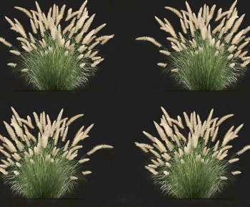 Modern The Grass-ID:362422947