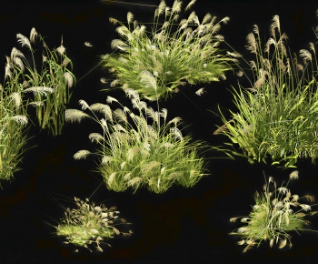 Modern The Grass-ID:758794078