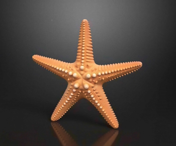 Modern Aquatic Animals-ID:160008912