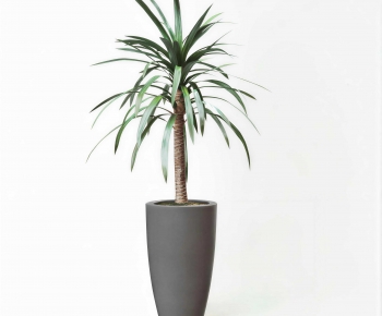 Modern Ground Green Plant Potted Plants-ID:642011886