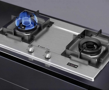 Modern Kitchen Electric Gas Range-ID:339811091