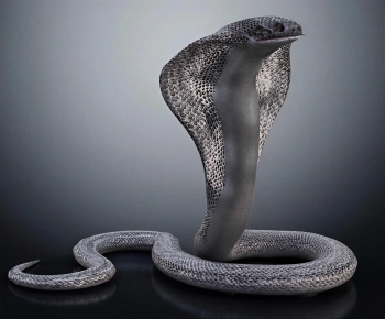 Modern Reptile-ID:290163997