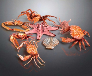Modern Aquatic Animals-ID:719699949