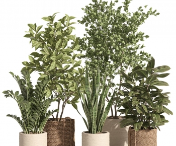 Modern Ground Green Plant Potted Plants-ID:329349993