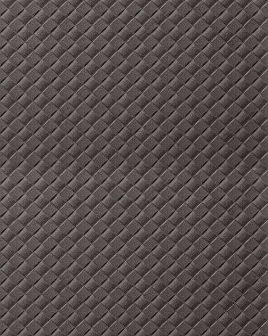 ModernOther Leather