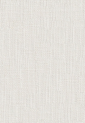 ModernWall Covering