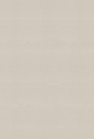 ModernFine Grain Leather