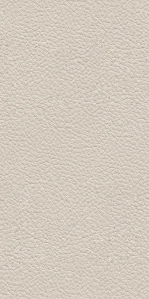 ModernRough Grain Leather