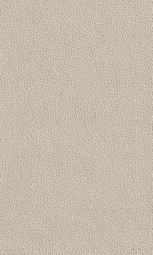 ModernRough Grain Leather
