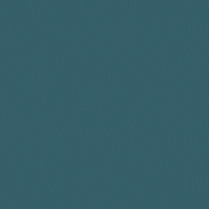ModernRough Grain Leather