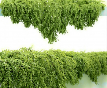 Modern Vine-ID:811361071