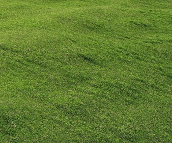 Modern The Grass-ID:166542056