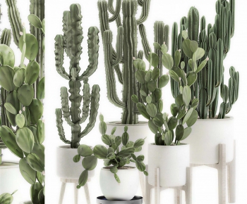 Modern Ground Green Plant Potted Plants-ID:203069935