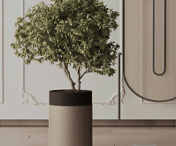 Modern Ground Green Plant Potted Plants-ID:376209022