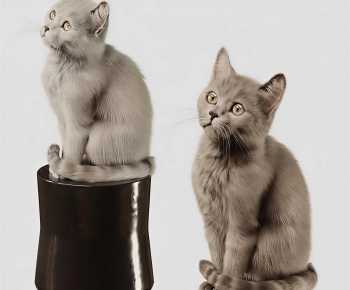 Modern Animal Cat-ID:766318081