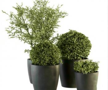 Modern Ground Green Plant Potted Plants-ID:396243101