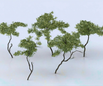 Modern Tree-ID:592689042