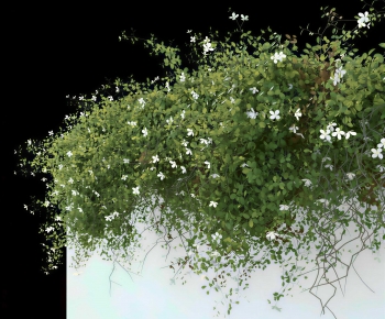 Modern Vine-ID:341969974