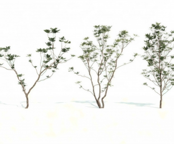 Modern Tree-ID:967390583