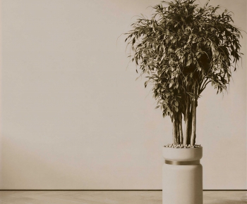 Modern Ground Green Plant Potted Plants-ID:877990742