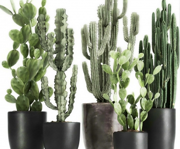 Modern Ground Green Plant Potted Plants-ID:976877931