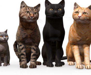 Modern Animal Cat-ID:209542999