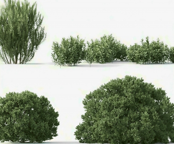 Modern Shrubbery-ID:306168089
