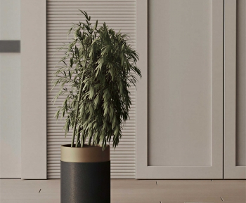 Modern Ground Green Plant Potted Plants-ID:503148088