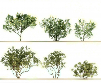 Modern Tree-ID:279692895