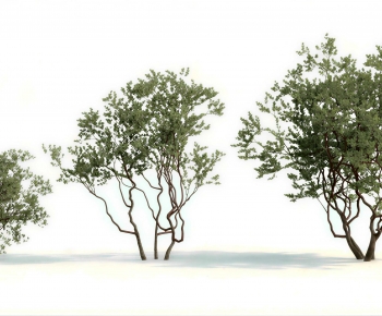 Modern Tree-ID:990310918