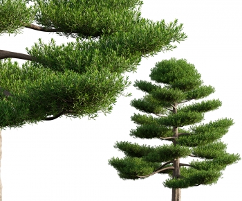 Modern Tree-ID:194154022