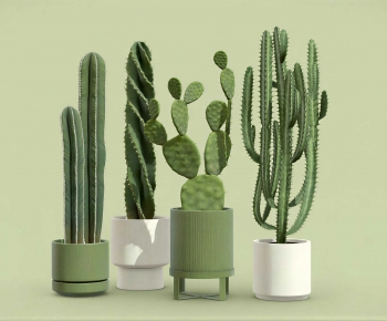 Modern Ground Green Plant Potted Plants-ID:884690339