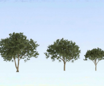 Modern Tree-ID:879976038