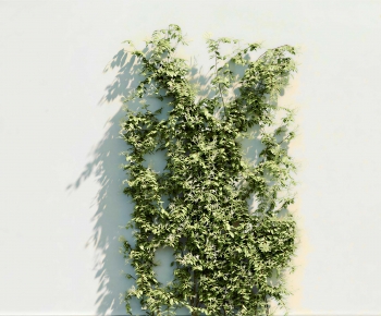 Modern Vine-ID:351703888