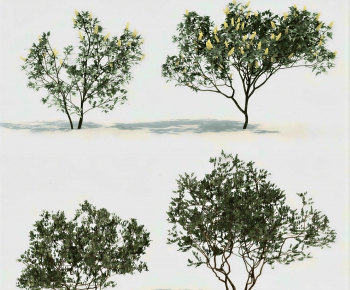 Modern Tree-ID:788590919