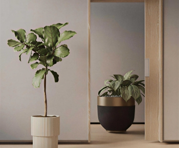 Modern Ground Green Plant Potted Plants-ID:484330891