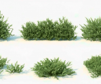 Modern Shrubbery-ID:519900366